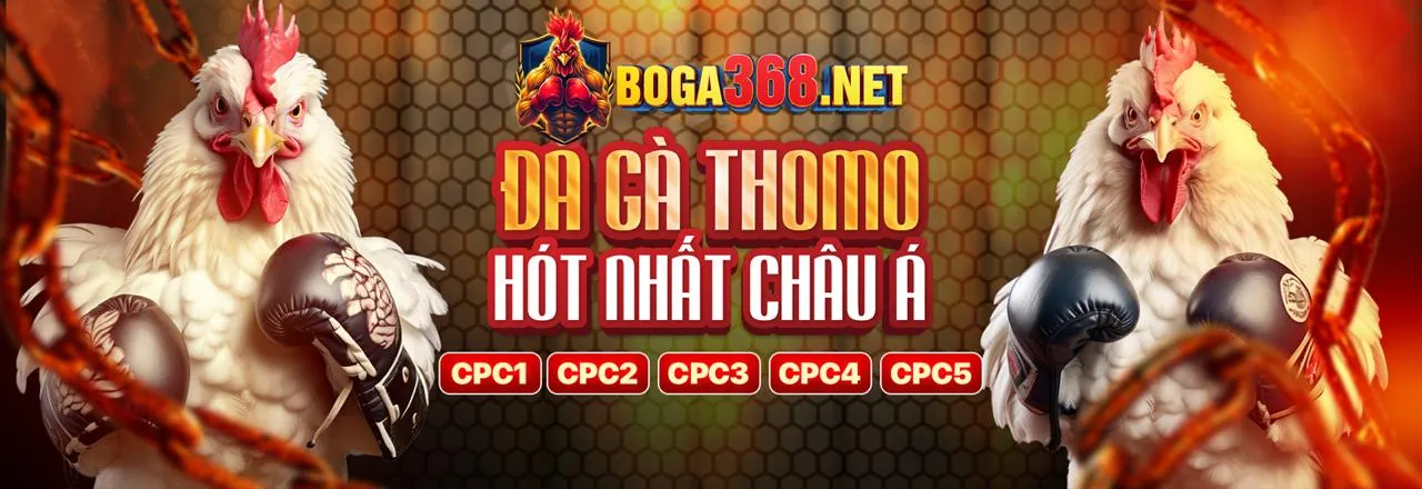 Đội ngũ hỗ trợ khách hàng chuyên nghiệp của 8win55 win