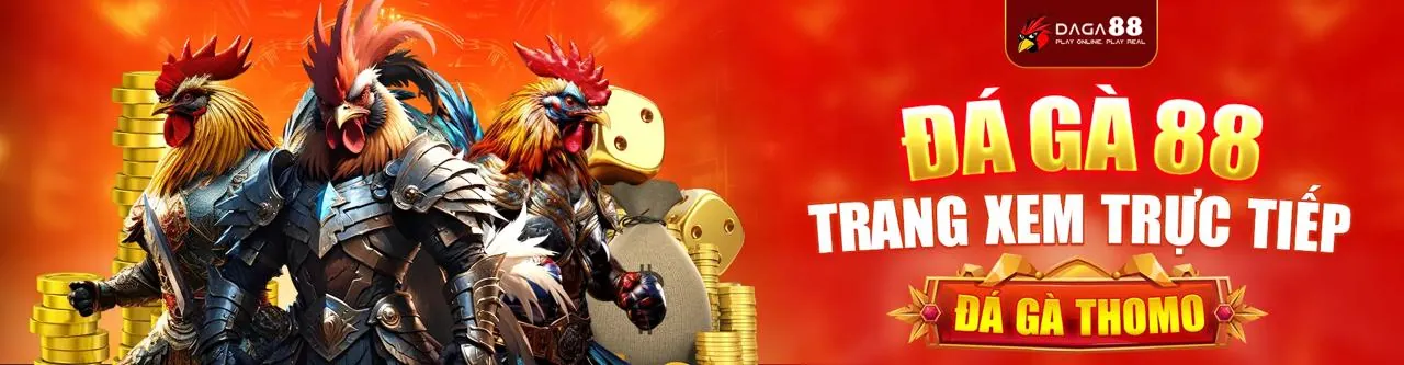 Đá gà trực tuyến kịch tính tại 8win55 Win